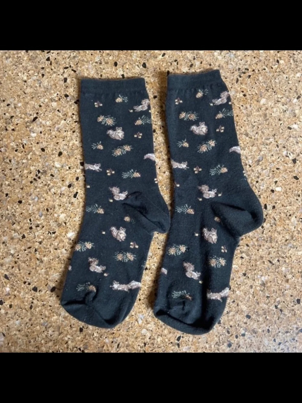 Women’s Squirrel Socks - 4 Pairs
